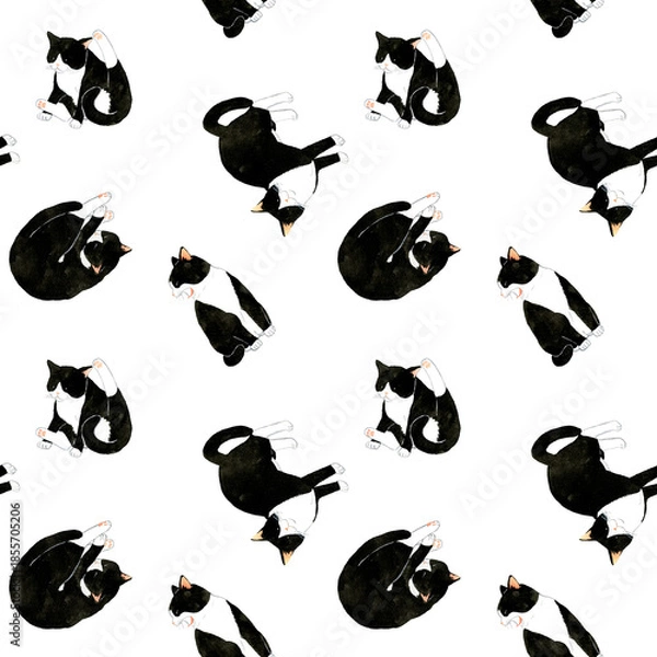Obraz かわいい白黒ハチワレ猫のシームレスパターン　動物・ペットの手描き水彩イラスト背景素材