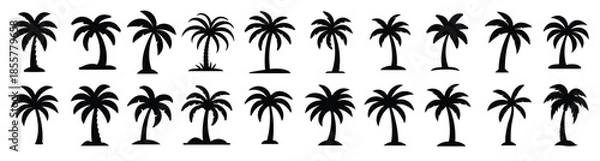 Fototapeta Palm tree vector silhouette collection