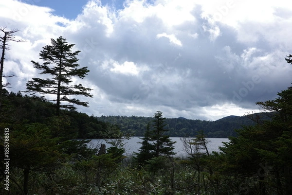 Obraz 湿原から望む、夏の終わりの尾瀬沼