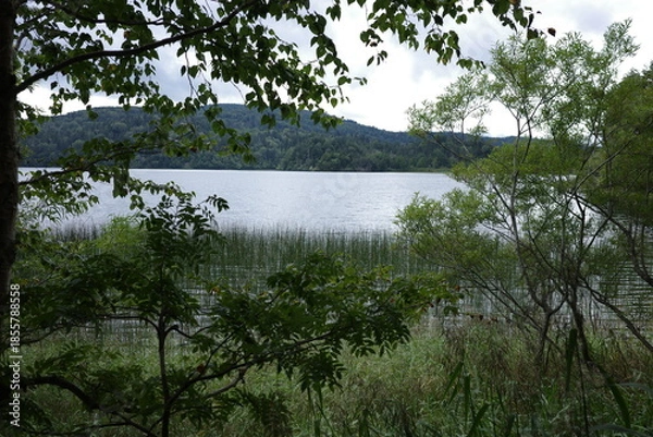 Obraz 湿原から望む、夏の終わりの尾瀬沼