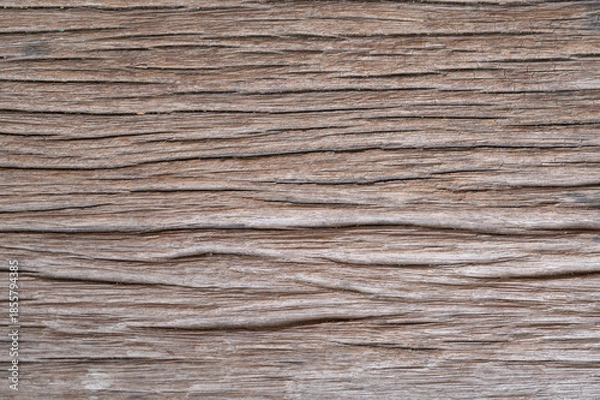 Obraz wood texture background