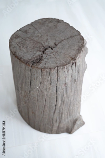 Obraz tree stump isolated on white