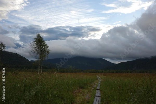 Obraz 夏の終わり、朝焼けに染まる尾瀬ヶ原の湿原。