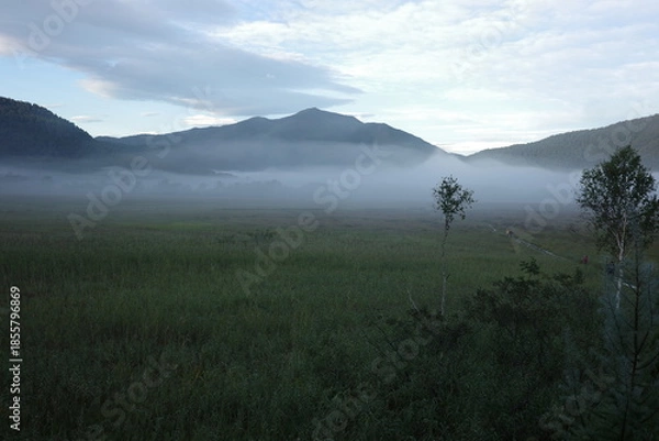 Fototapeta 夏の終わり、朝焼けに染まる尾瀬ヶ原の湿原。