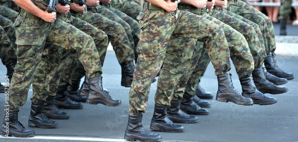 Obraz Serbian Army marches 