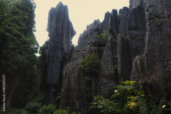 Fototapeta yunnan stone forest