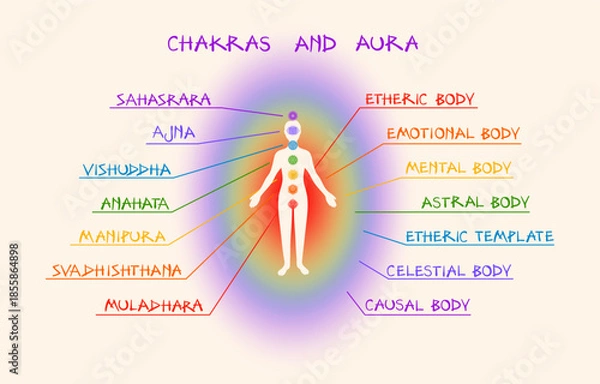 Obraz Human Chakra and Aura Layers Infographic