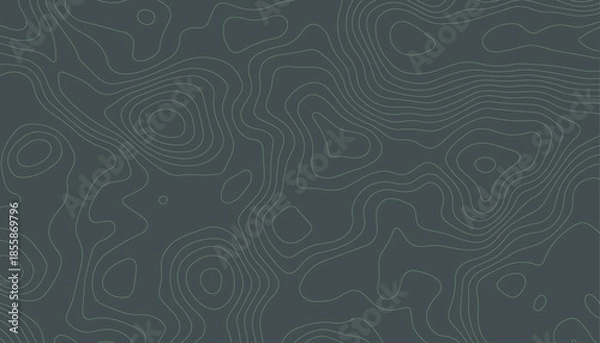 Obraz Slate Gray Topographic Contour Lines. Minimalist Topographic Map Background.