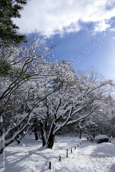 Fototapeta 雪の金沢　兼六園