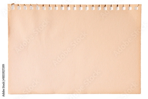 Obraz Isolated brown ripped yellow background paper texture