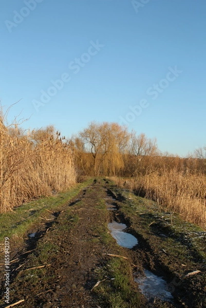 Obraz A stream running through a field