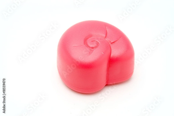Obraz Pink Conch