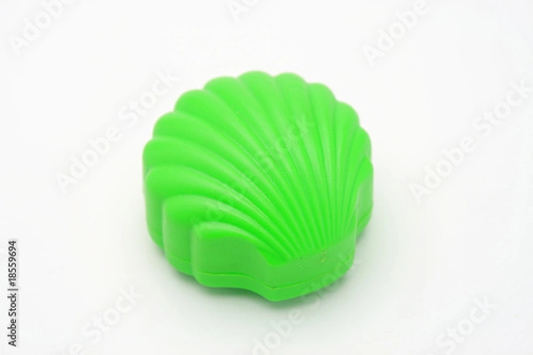 Obraz Green Shell