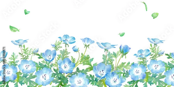 Fototapeta 春の花：ネモフィラの水彩イラスト　春のボトム装飾フレーム背景