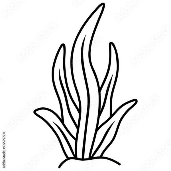 Obraz plant leaf vector illustration