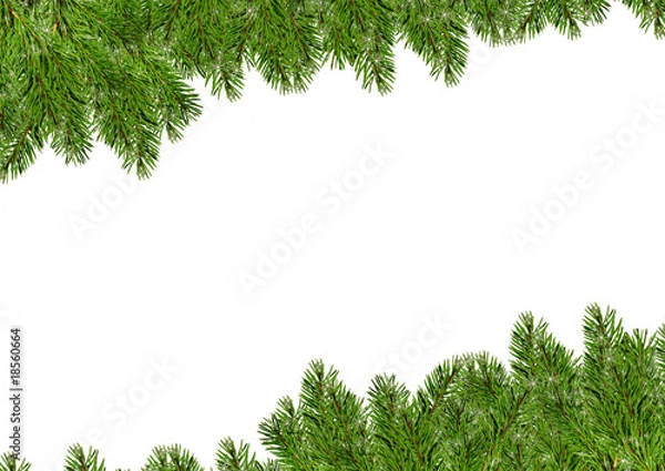 Obraz Tannenzweig Hintergrund