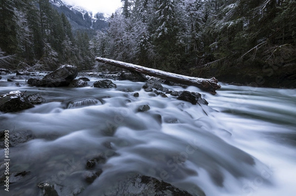 Fototapeta A winter window into the beautiful Mt. Baker Snoqualmie National Forest with snow covered landscapes in Washington State, USA.