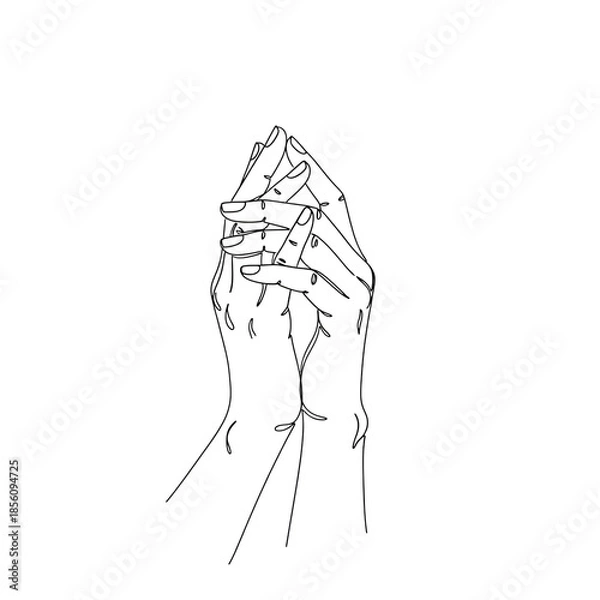 Fototapeta Isolated insect on transparent background