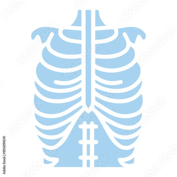 Obraz Human Rib Cage Anatomy Icon