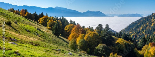 Obraz Alps landscape