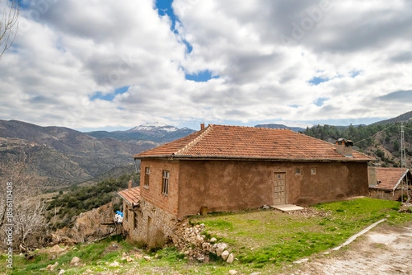 Obraz Village house