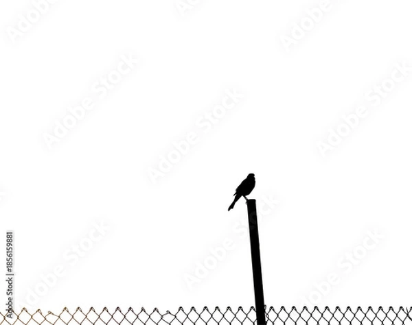 Obraz Black and white vector