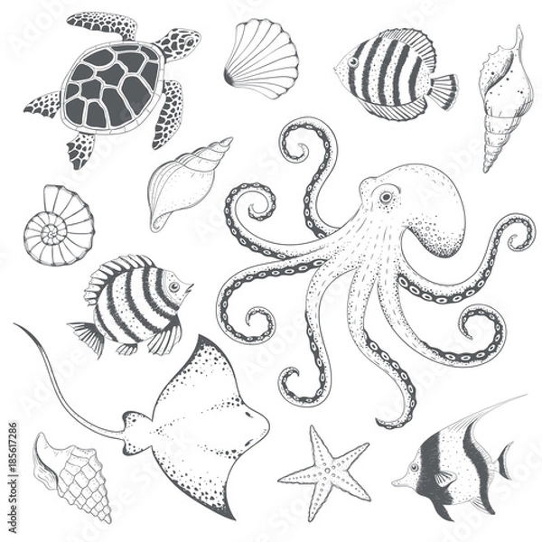 Obraz Ocean hand drawn set. Vector illustration.