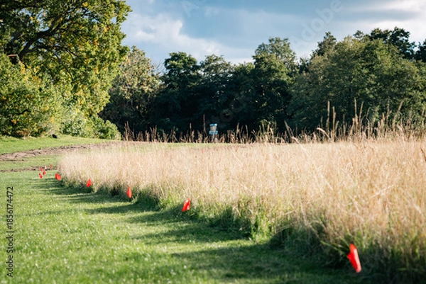 Obraz disc golf basket behind a meadow