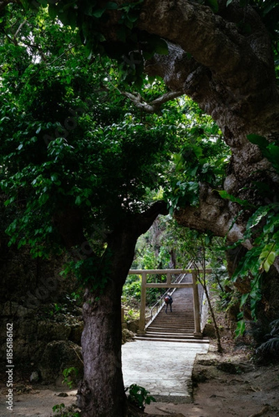 Obraz シルミチューの墓