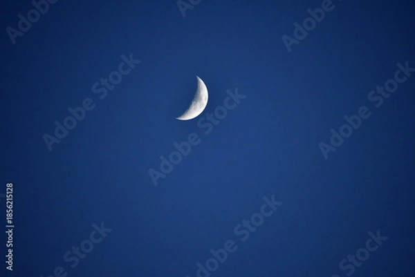 Obraz Crescent Moon