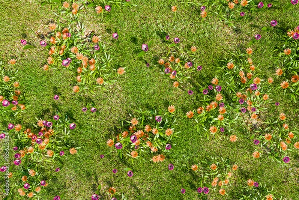 Obraz 爽やかな春のイメージ