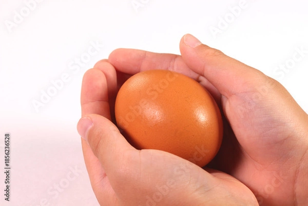 Obraz 卵を持つ子どもの手