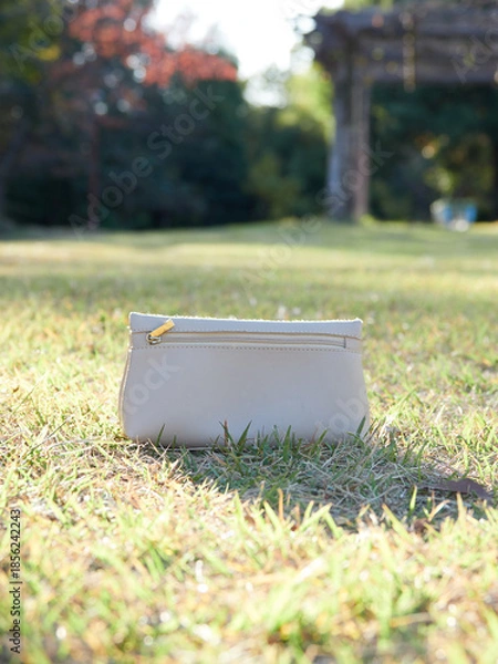 Obraz 秋の昼の公園の芝生にある白色の財布の様子