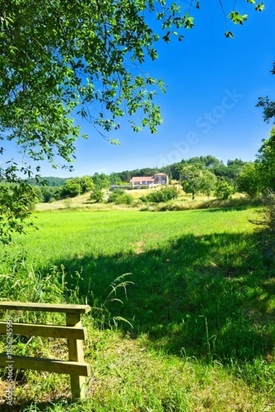 Obraz 나무, 네이처, 경관, sky, 목초, 여름, 들판, blue, 뜰, 식물, 구름, 공원, h2o, 봄, 경로, 목초지, 일, 농촌, 강, 호수, 길거리