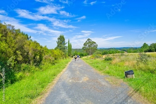 Obraz 길거리, sky, 경관, 네이처, 나무, 여름, 목초, 농촌, 경로, 국가, green, 들판, 시골, 구름, 길, 여행, 봄, 아스팔트, 목초지, 때, 산책로, 레인