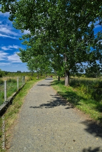 Obraz 길거리, 경관, 네이처, sky, 경로, 나무, 국가, 여름, green, 농촌, 목초, 시골, 아스팔트, 여행, 들판, 레인, 구름, 때, 길, 산책로, 간선도로, 거리, 고개