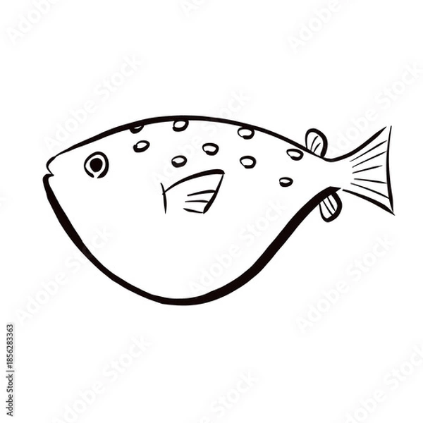 Obraz デフォルメしたフグ　筆風線画イラスト