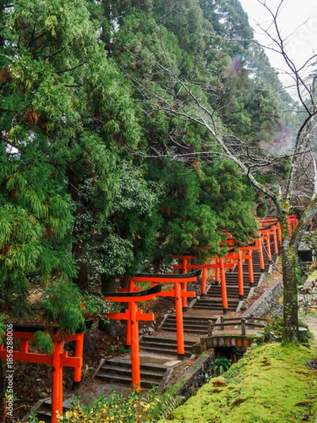 Fototapeta 雨の中、兵庫県豊岡市の出石町、出石城址を歩く