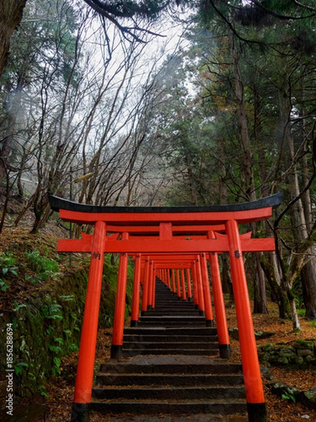 Fototapeta 雨の中、兵庫県豊岡市の出石町、出石城址を歩く