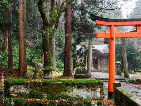 Fototapeta 雨の中、兵庫県豊岡市の出石町、出石城址を歩く