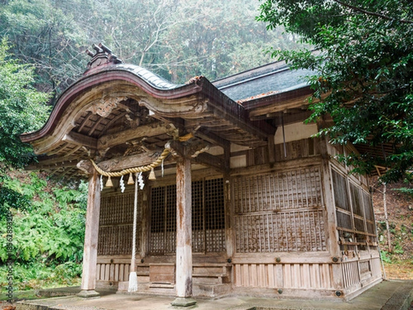 Fototapeta 雨の中、兵庫県豊岡市の出石町、出石城址を歩く