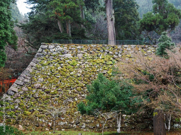 Fototapeta 雨の中、兵庫県豊岡市の出石町、出石城址を歩く