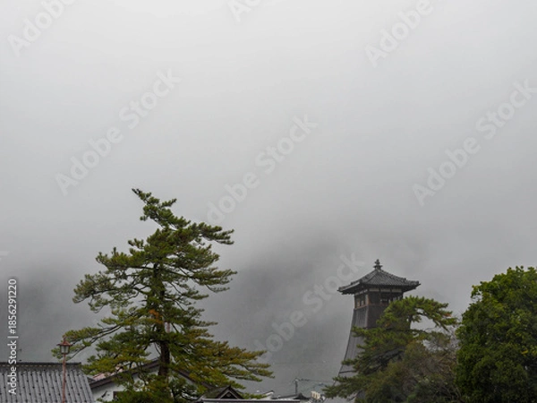 Fototapeta 雨の中、兵庫県豊岡市の出石町、出石城址を歩く
