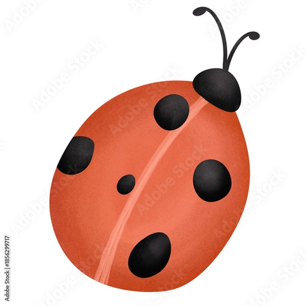 Obraz ladybug