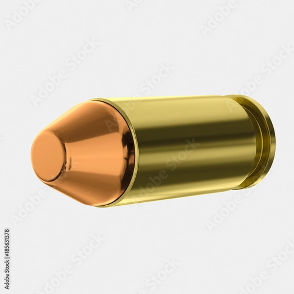 Obraz 40 Calibre Bullet Isolated on a Light Background