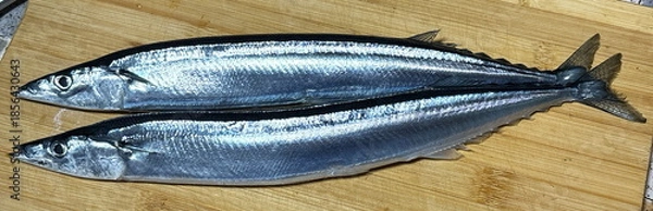 Obraz 秋刀魚_さんま