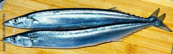 Obraz 秋刀魚_さんま