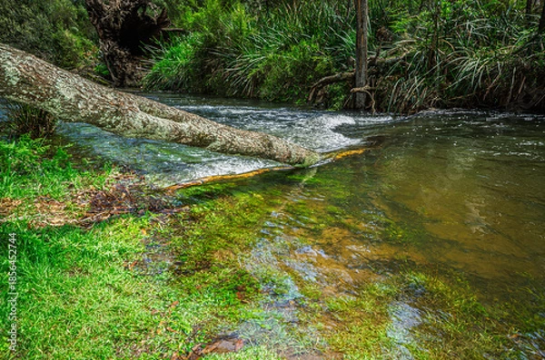 Obraz River Running Fast Over Submerged Log