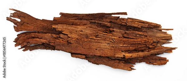 Obraz Morsches Holzstück