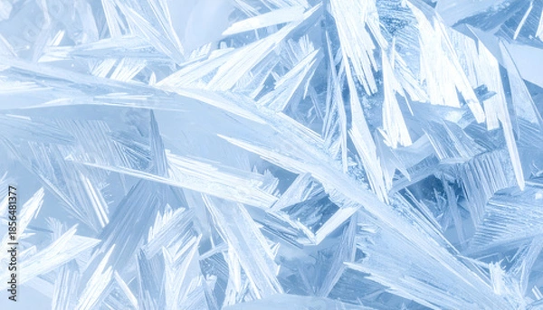 Obraz 氷の結晶
